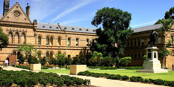 Trường đại học The University of Adelaide