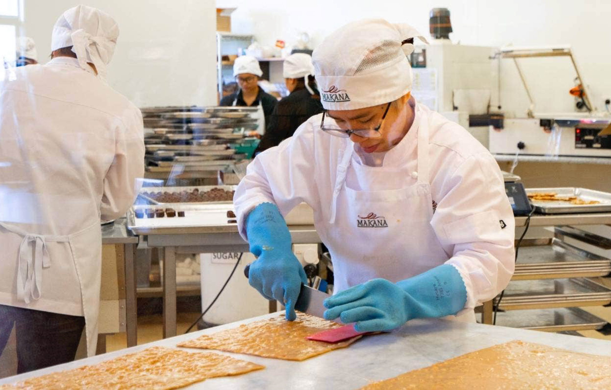 100 ngành nghề chờ lao động nước ngoài tại New Zealand