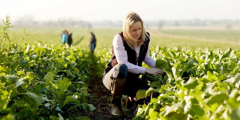 Những Điều Cần Biết Về Làm Nông Nghiệp Ở New Zealand Hiện Nay - PTE Helper